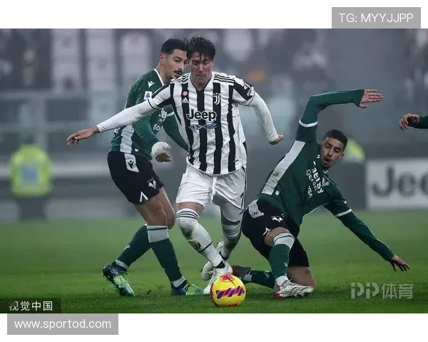 劳塔罗 vs 弗拉霍维奇：全能型与现代中锋的功能性差异